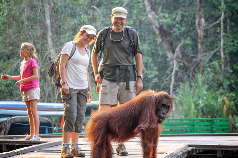 Borneo Papua Komodo Expedition Tour – 14 Days-03