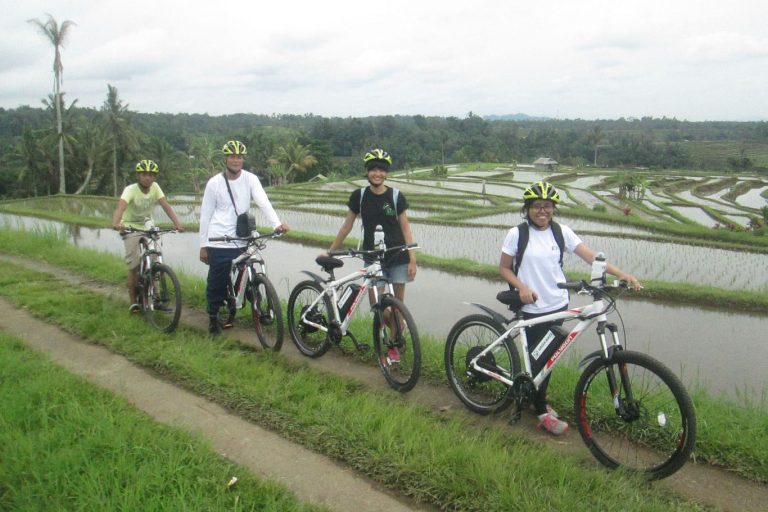 Jatiluwih Rice Paddies Ebike Tour-01