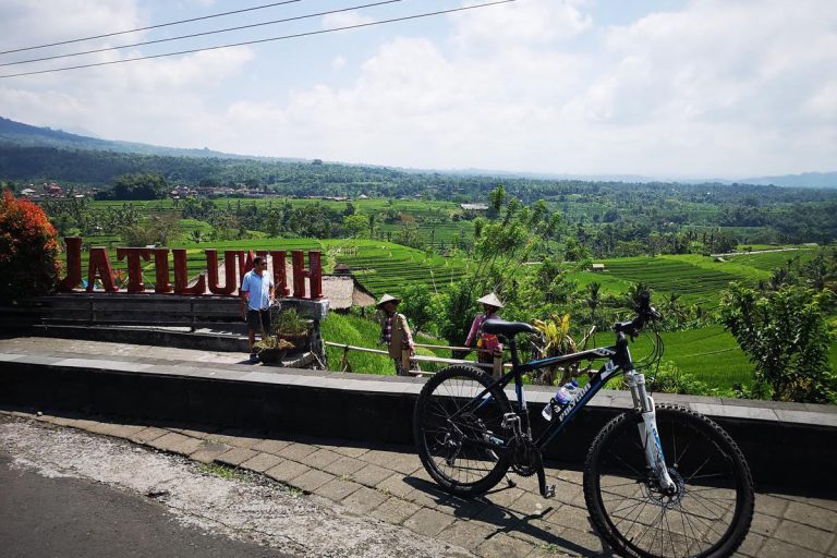 Jatiluwih Rice Paddies Ebike Tour