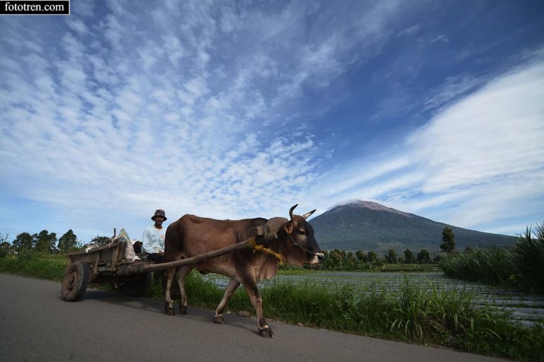 Kerinci Seblat National Park Adventure – 7 Days-03