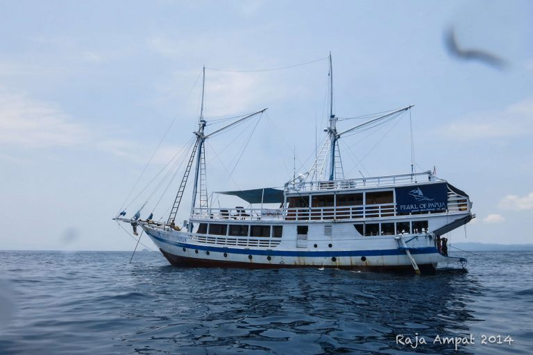 Raja Ampat Liveaboard Charter by Pearl of Papua-02