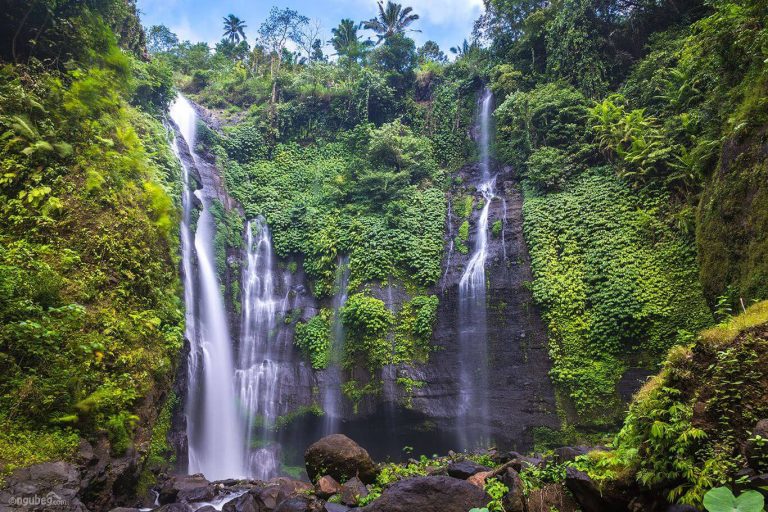 Sekumpul Waterfall Trekking-01