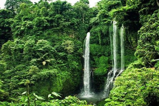 Sekumpul Waterfall Trekking-02