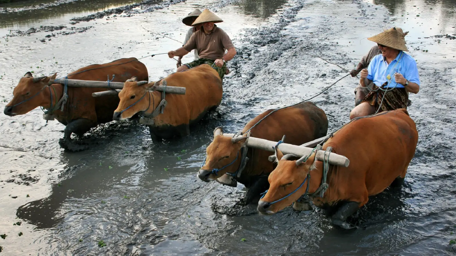 Balinese Village Traditional Life | Indonesia Impression Tour