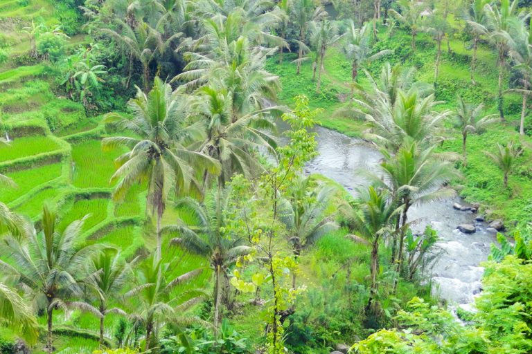 Ayung River Rafting Ubud-03