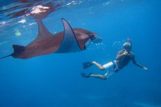 Nusa Penida Island Snorkeling Safari-02