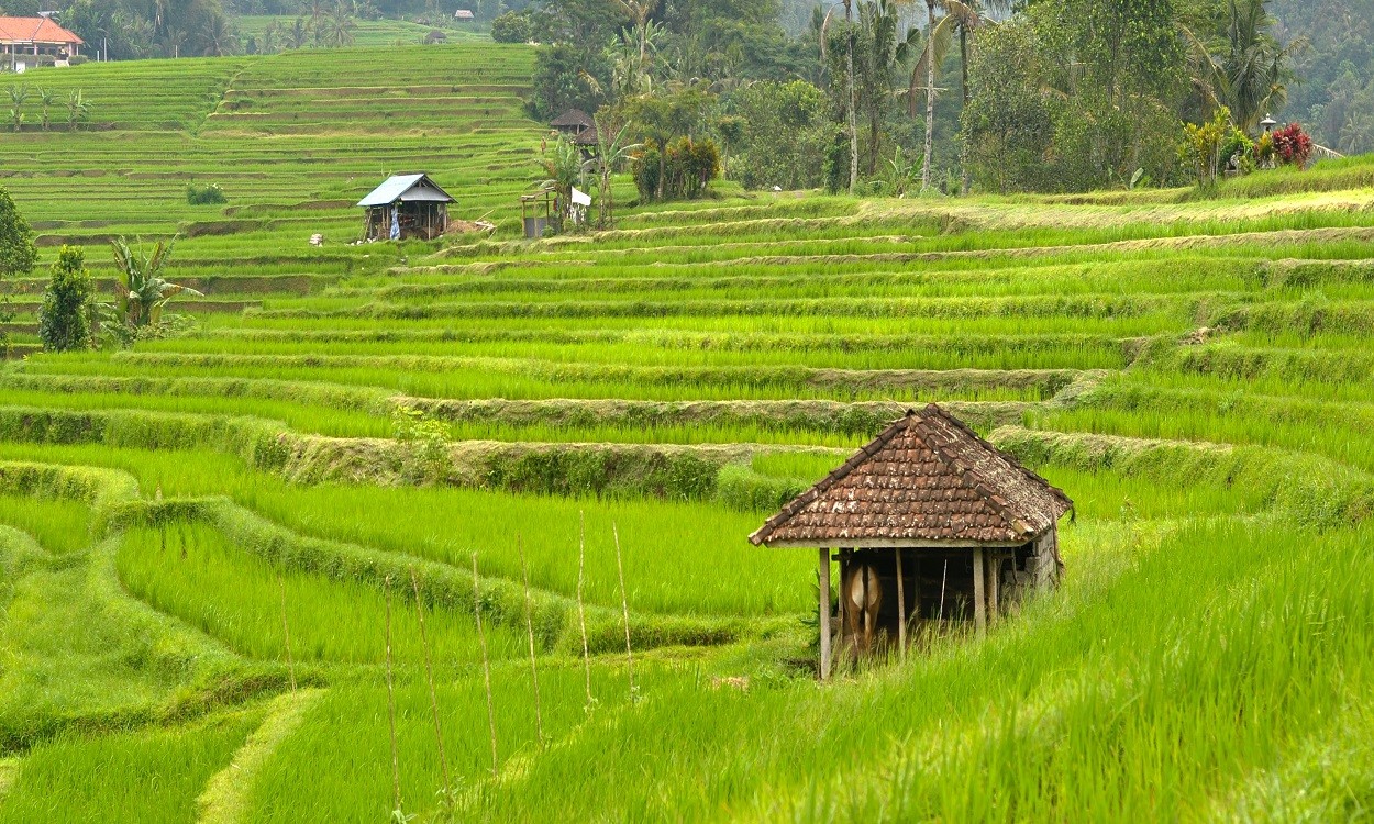 Indonesia Climate And Weather I Indonesia Impression