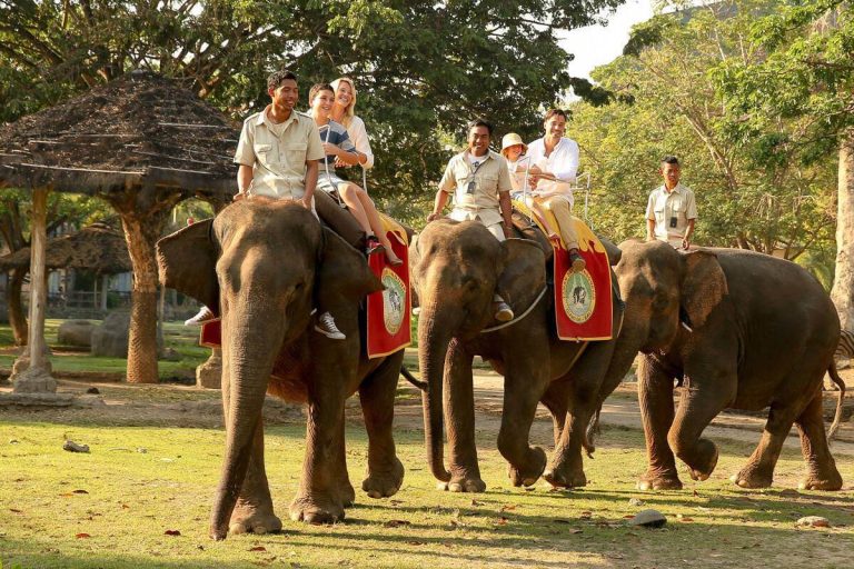 Safari Adventure in Bali