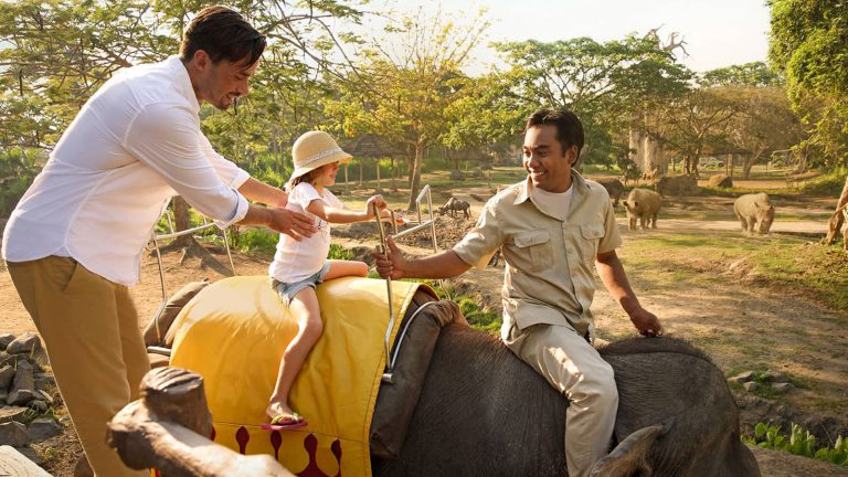 Elephant-Ride-Bali-Safari-Park-Feature-Image