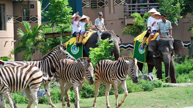 bali-safari-and-marine-park-review