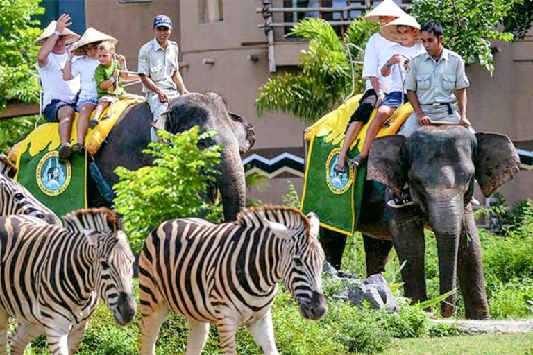 bali-safari-and-marine-park-scaled