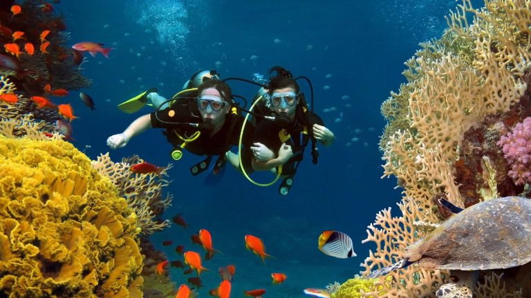 Manta Diving Nusa Penida 4