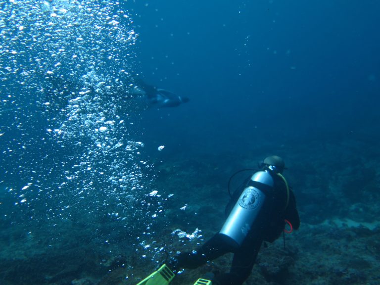 sanctumdiveindonesia nusa penida scuba diving (90)