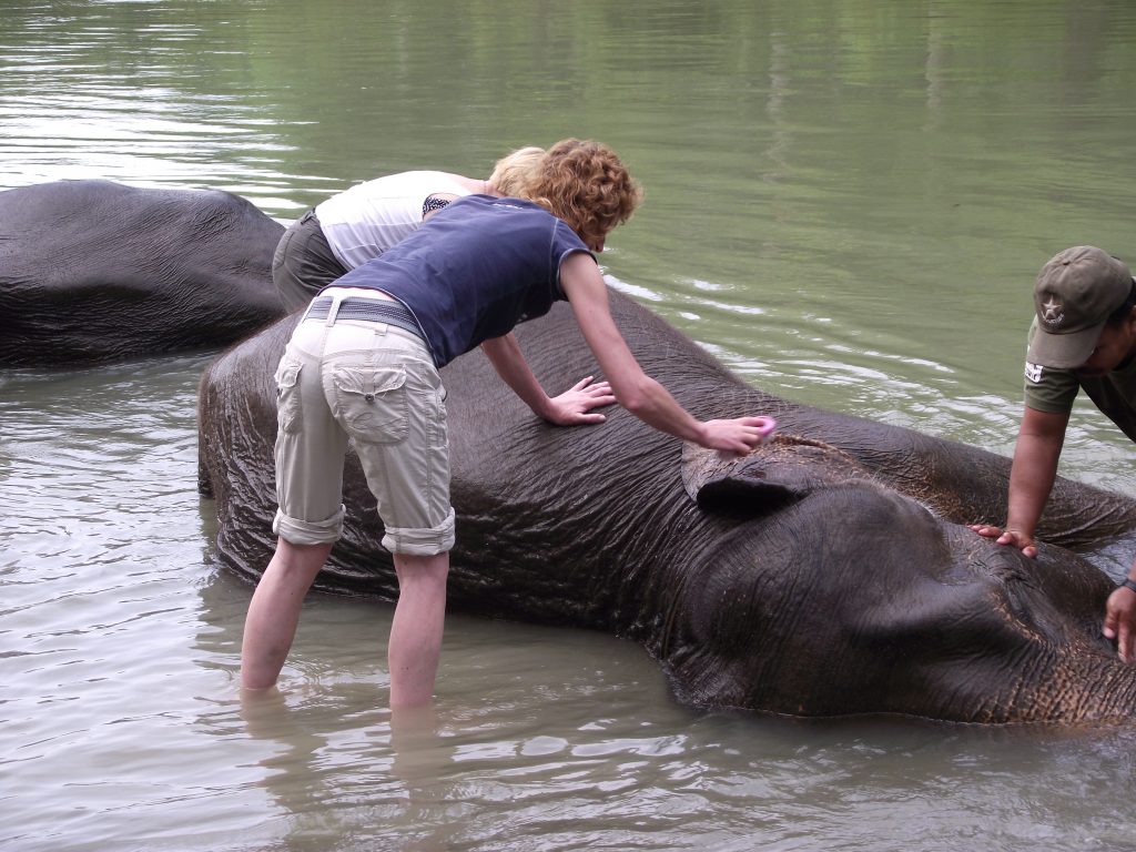 Tangkahan Elephant Sanctuary at Gunung Leuser National Park