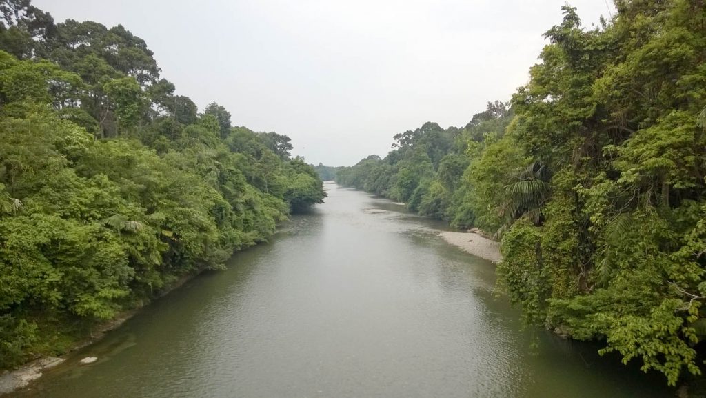 Gunung Leuser National Park in Sumatra 