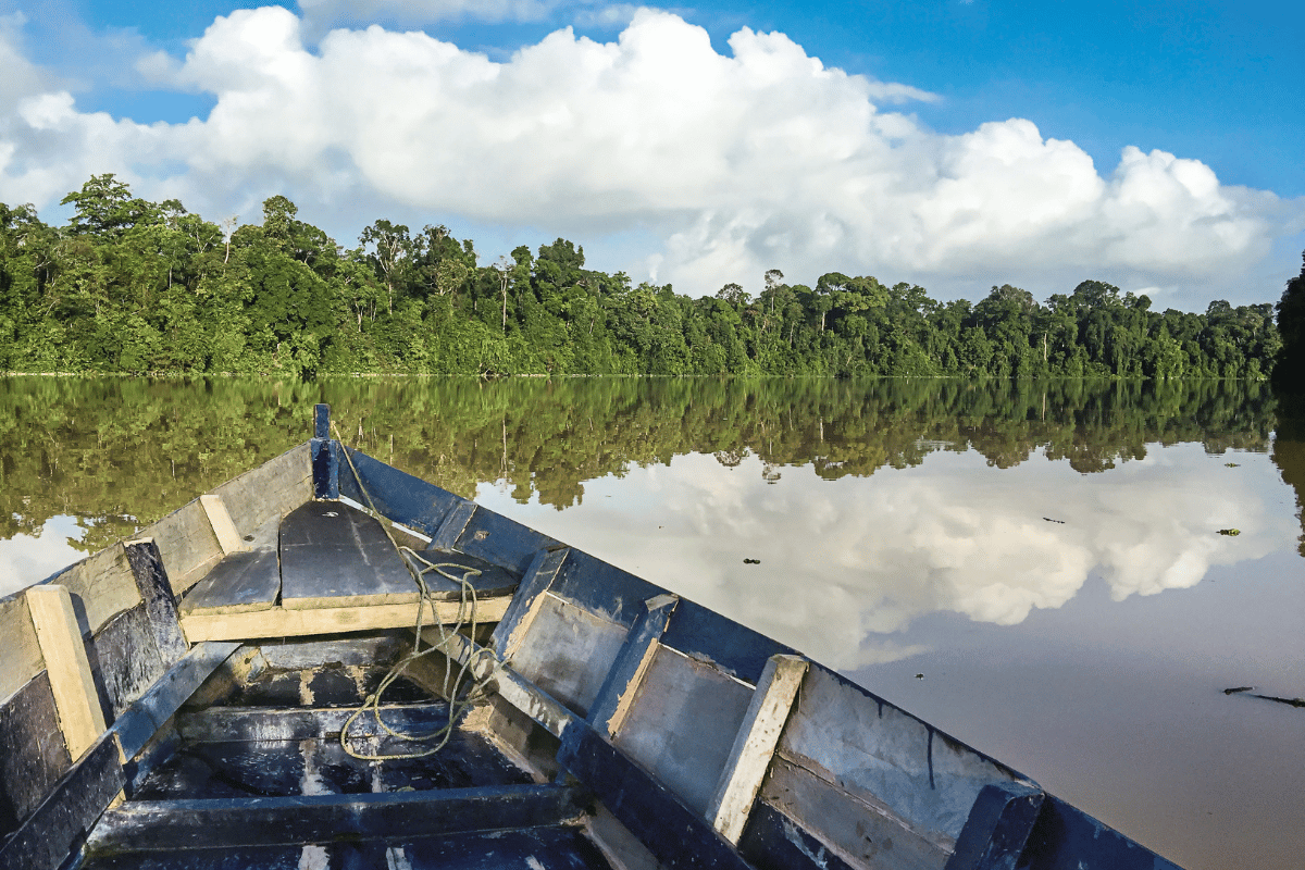 Kinabatangan River