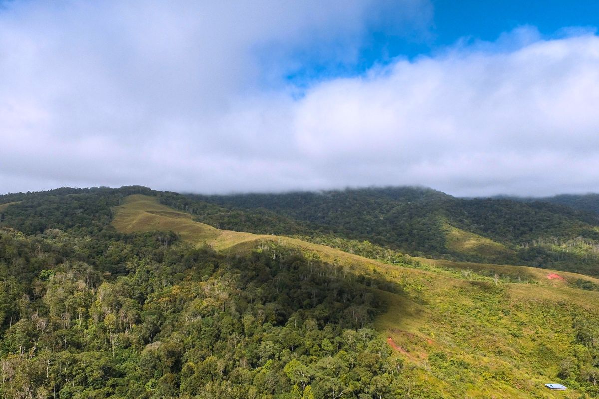 Lindu National Park