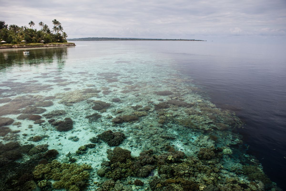 Wakatobi Islands