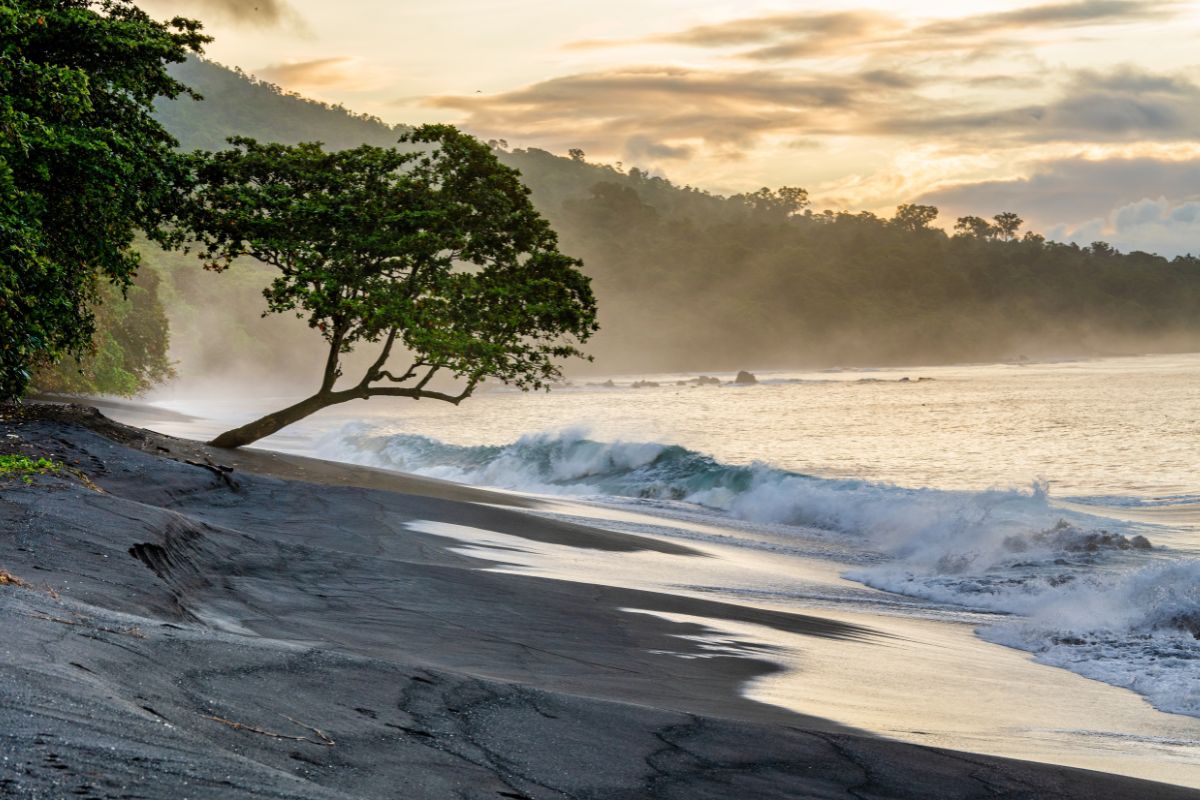 morning at Tangkoko National Park