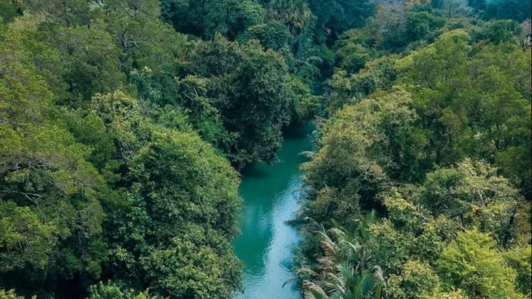 sungai-cigenter-ujung-kulon_banten