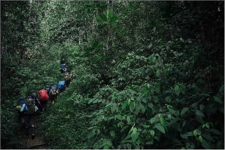 ujung-kulon-trek