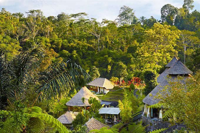 Bagus Jati Wellbeing
