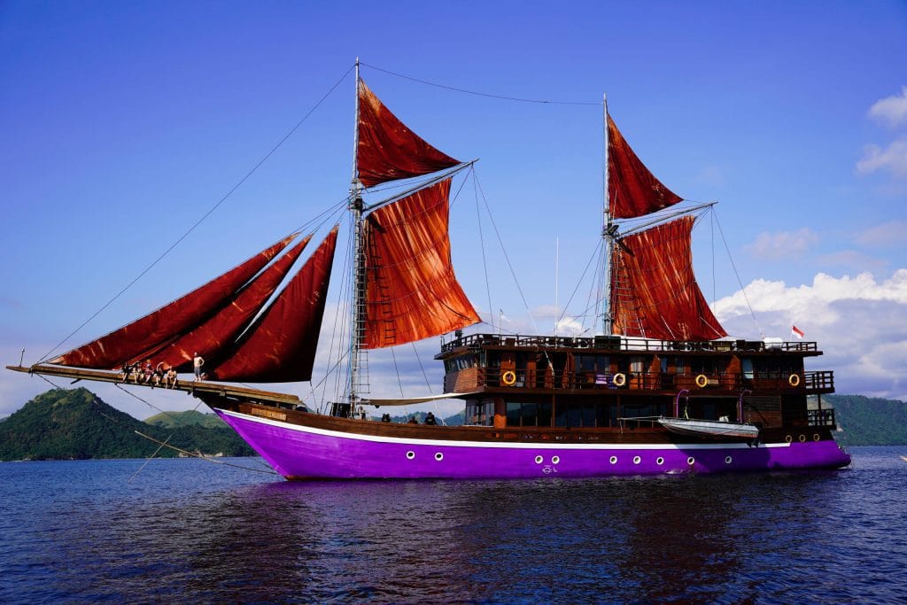 Neomi Cruise