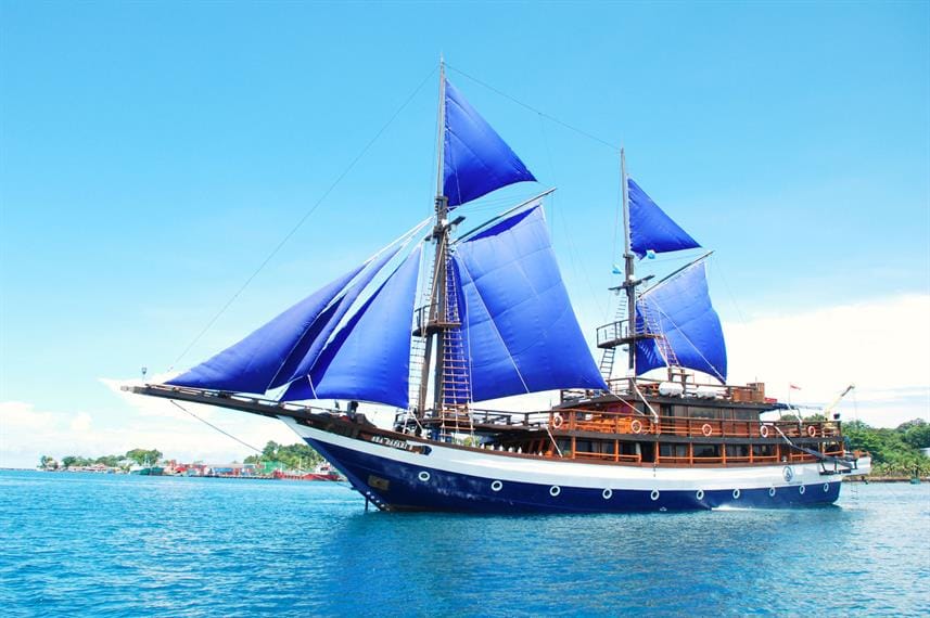 Sea Safari Cruises 8