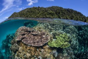 Indonesia island