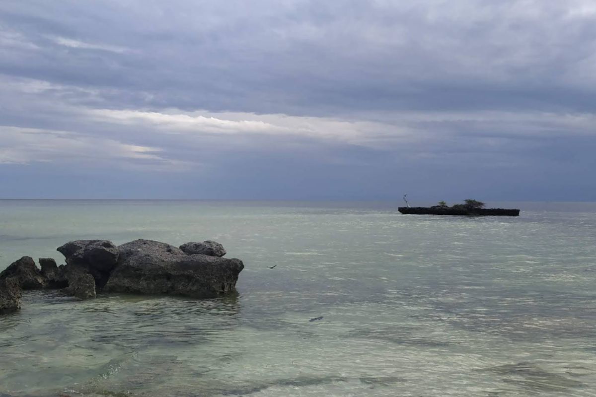 ekowisata taduno