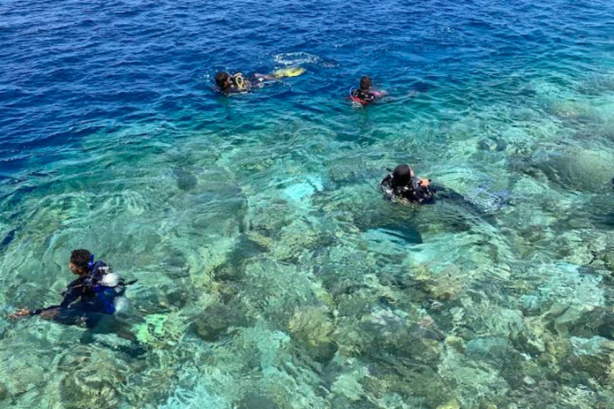 sombu dive resort