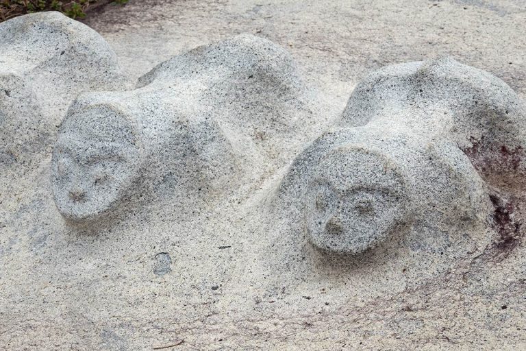 06 Close up of a carved lid of a kalamba, near Hanggira village, Besoa Valley