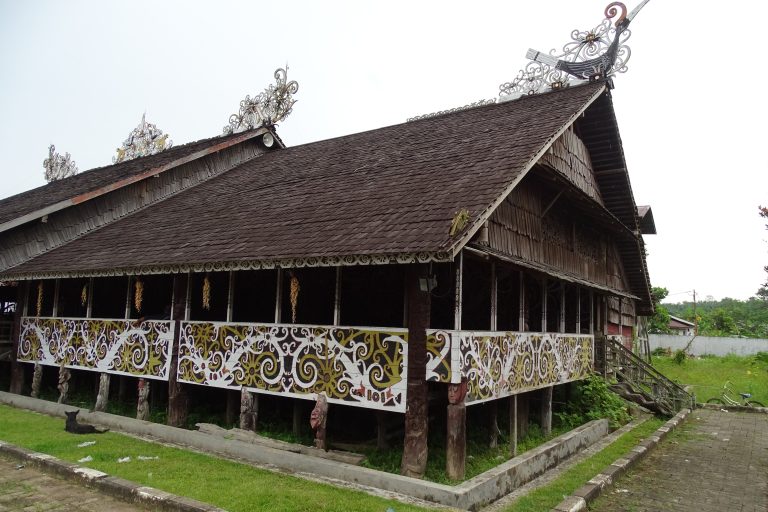 20170709_Borneo_00706