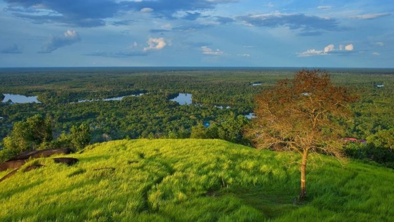 680e0d50139c3-panorama-di-bukit-tangkiling-kalimantan-tengah_banyuwangi