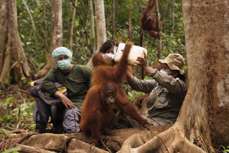 Forest-School-Nyaru-Menteng-Kalteng-by-Indrayana_2-1-scaled