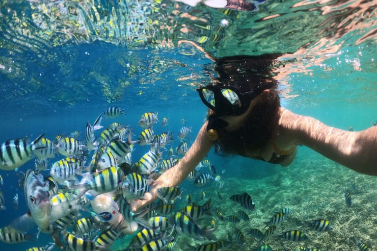 Harian-Gili-Nanggu-snorkeling-Gili-Sudak-Gili-Tangkong-Gili-Kedis-6