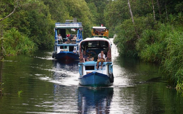Sungai-Sekonyer-2-1024x640
