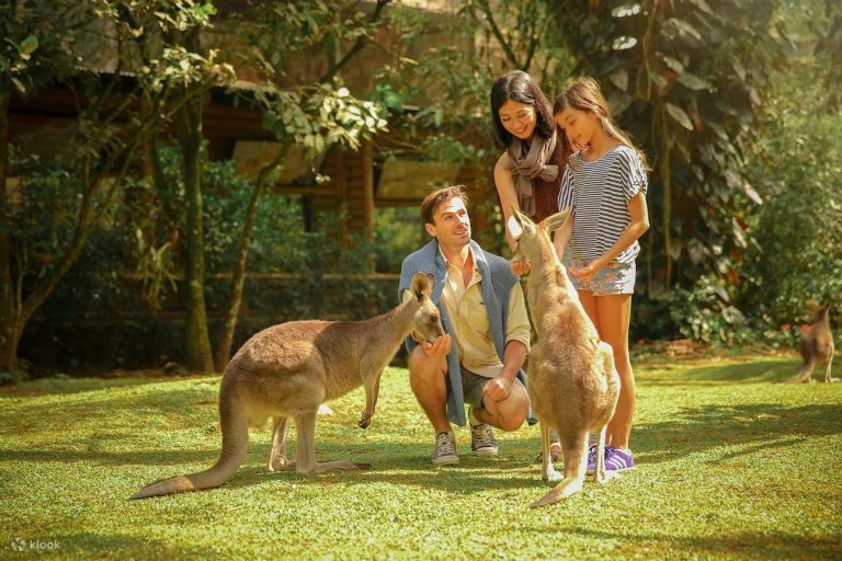 TamanSafariIndonesiaBogor (1)