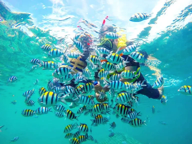 Tour-Gili-Nanggu-gili-Sudak-Gili-Kedis-5-1024x768