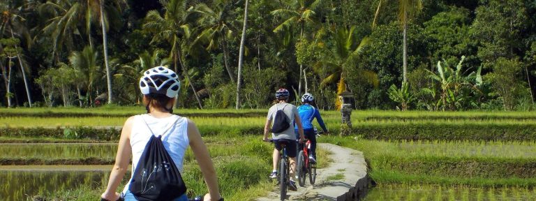 bali-cycling-fin-1