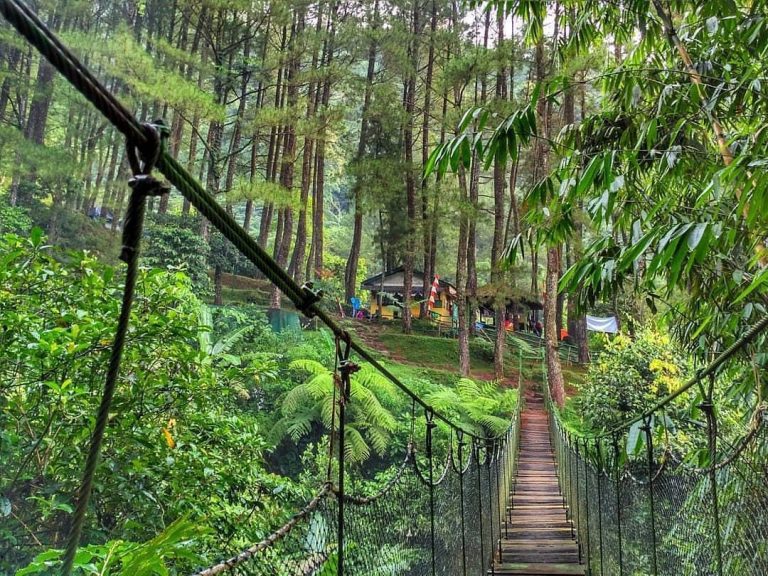 kebun-raya-bogor-1-@bogorupdate.id_