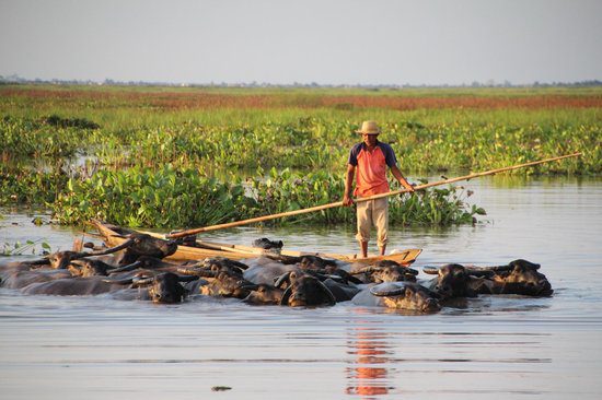 south-kalimantan