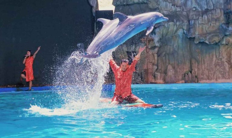 time_travels_tiket_masuk_sea_world_ancol_-_ocean_dream_samudra_-jakarta_bird_park_full07_efp7b81w