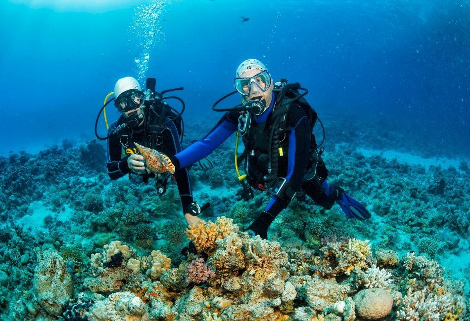 Snorkeling and Scuba Diving Spots in the Maluku Islands - Ambon Bay