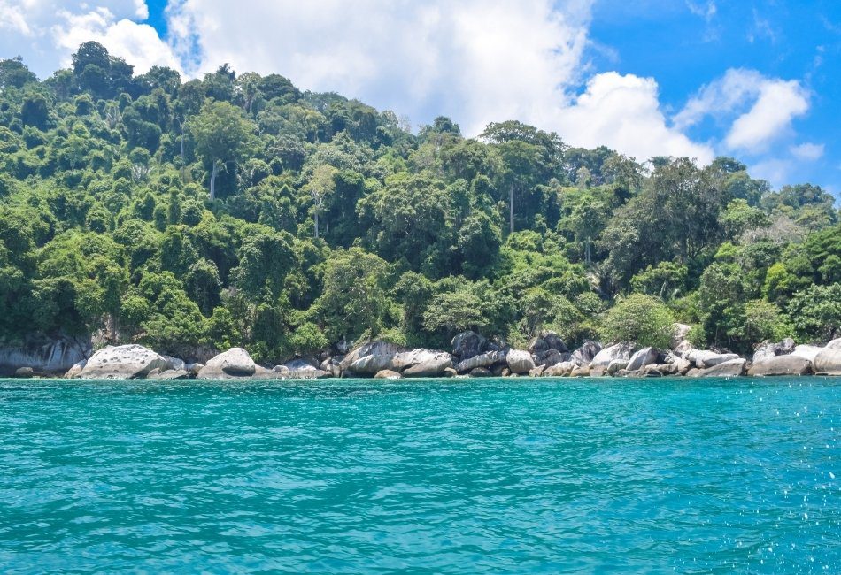 Snorkeling and Scuba Diving Spots in the Maluku Islands - Morotai Island