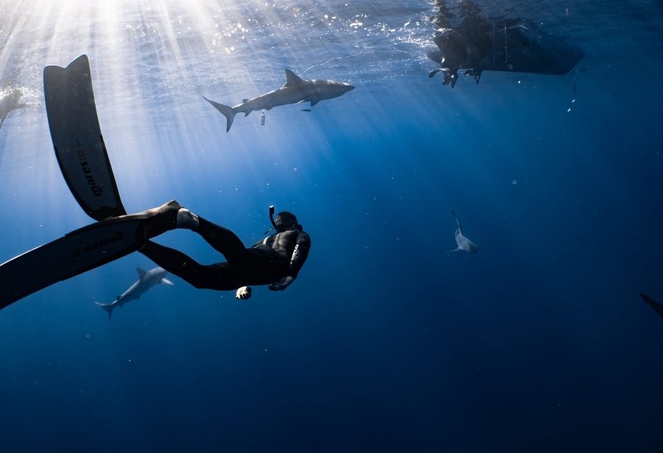 Snorkeling and Scuba Diving Spots in the Maluku Islands - Pulau Hatta 