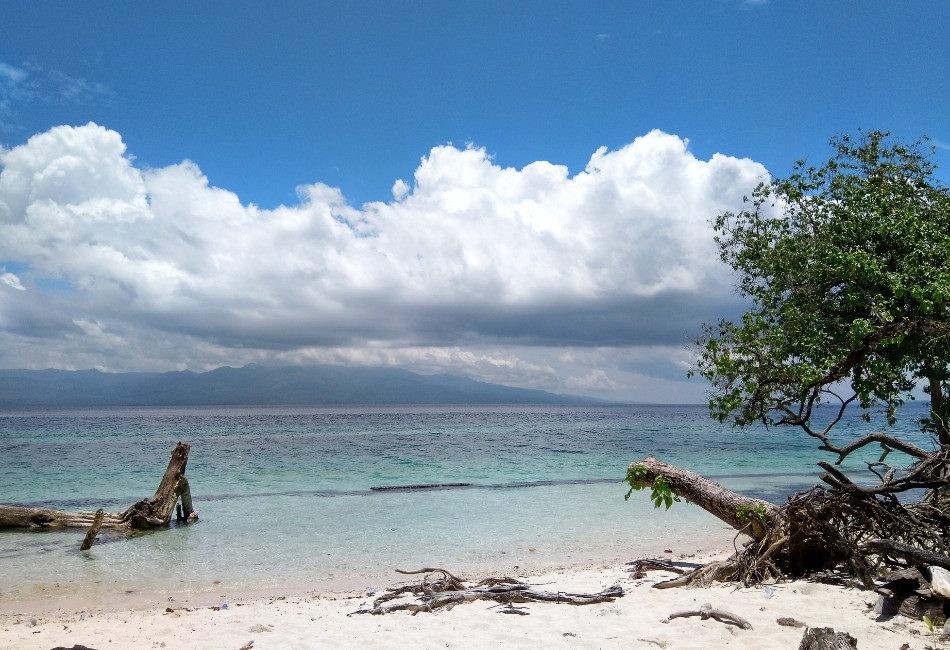 Travel Tips for Visiting Ambon