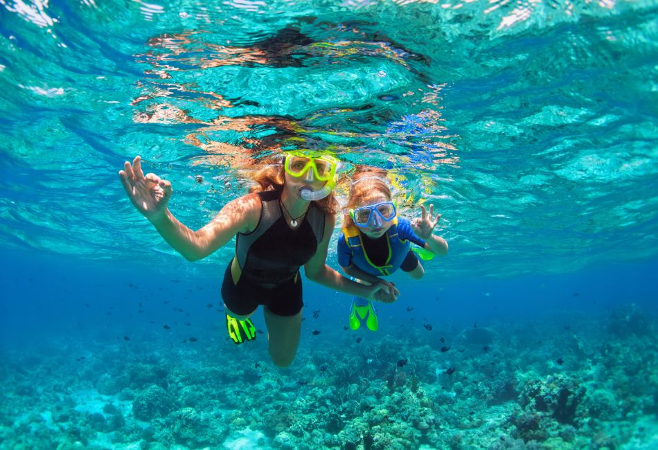 snorkel around vibrant coral reefs
