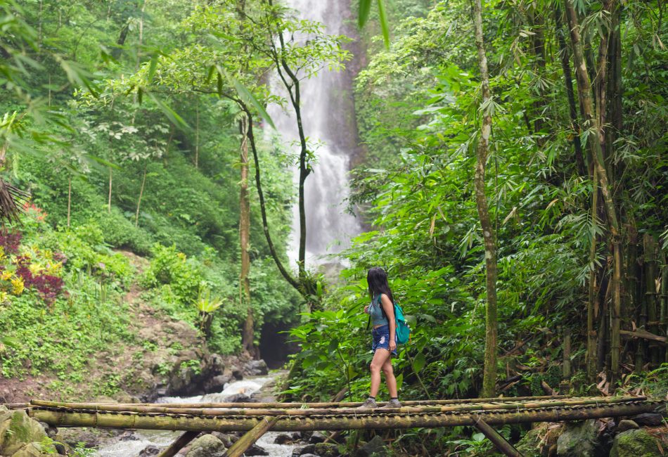 famous forest in bali