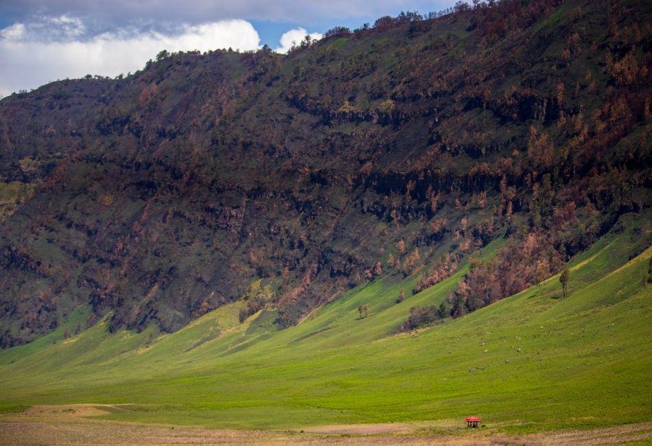 Capture Photos At Teletubbies Hill Savanna